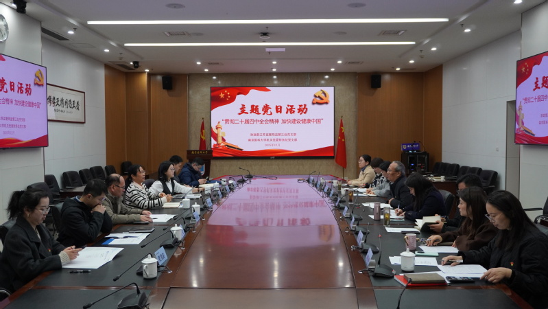 贯彻二十届四中全会精神 加快建...